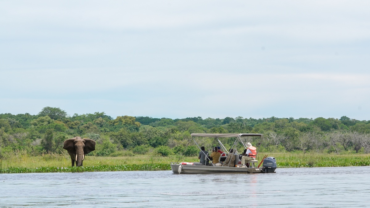 15-Day Ultimate Uganda Wildlife Safari