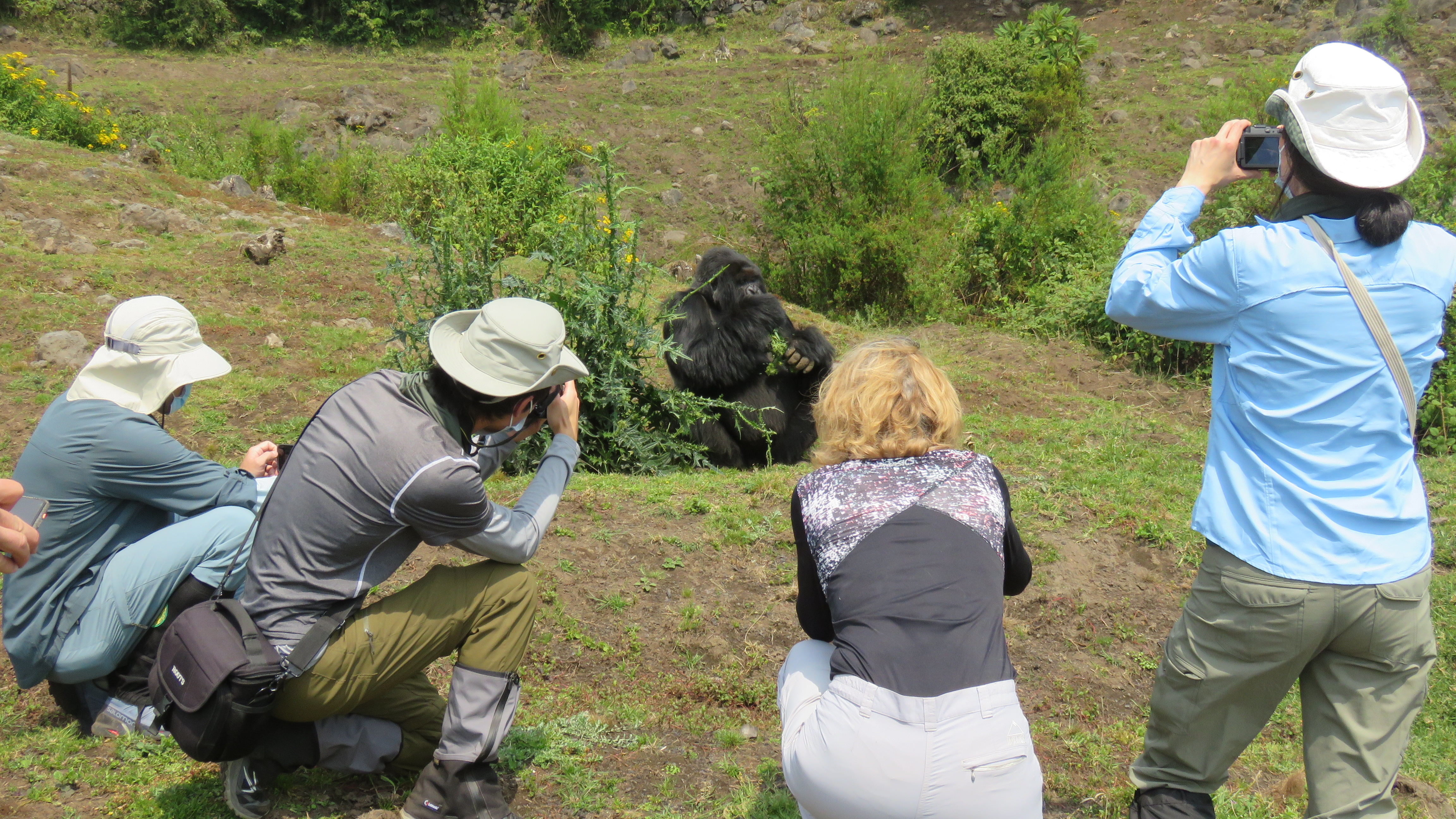 10-Day Rwanda Wildlife & Cultural Discovery